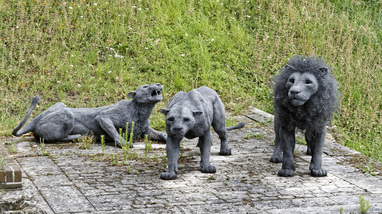 20230723 102938••London•England•UK